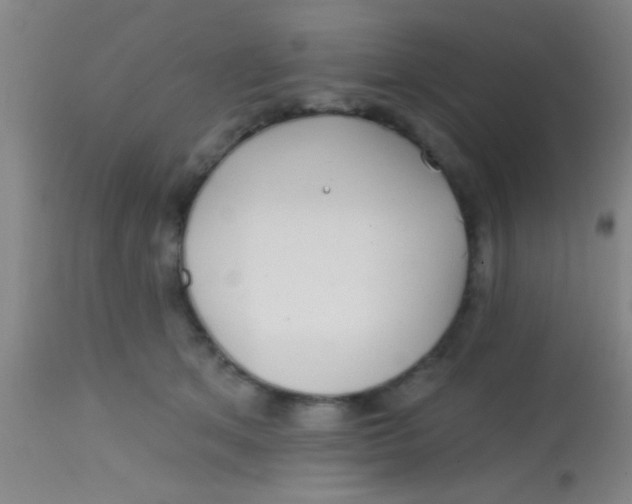 X0000113860513200910151239