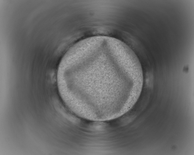 X0000113860514200910151239