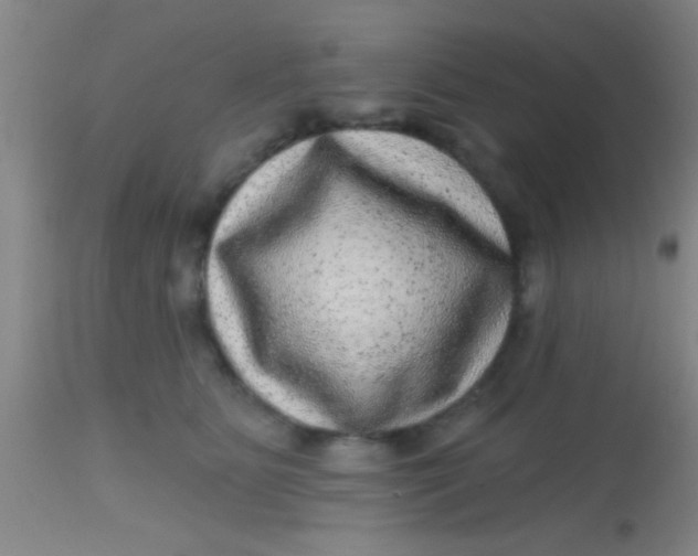 X0000113860515200910151239
