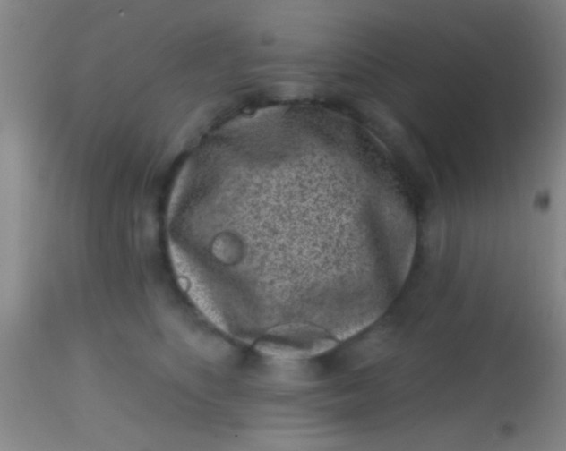 X0000113860516200910151239