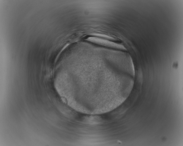 X0000113860517200910151239