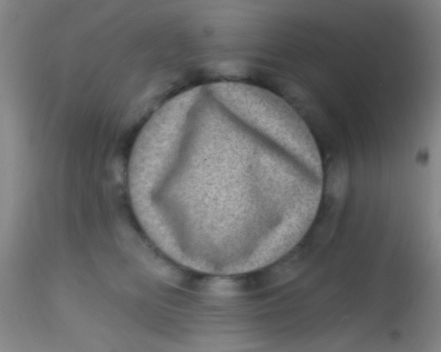 X0000113860518200910151239