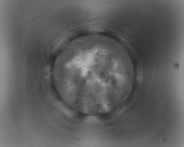 X0000113860519200910151239