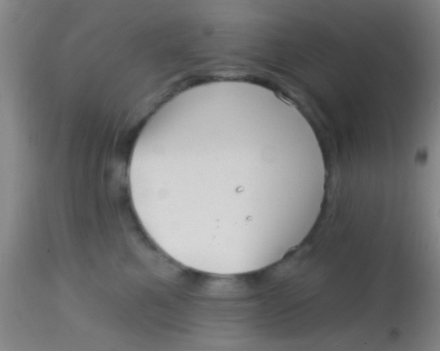 X0000113860521200910151239