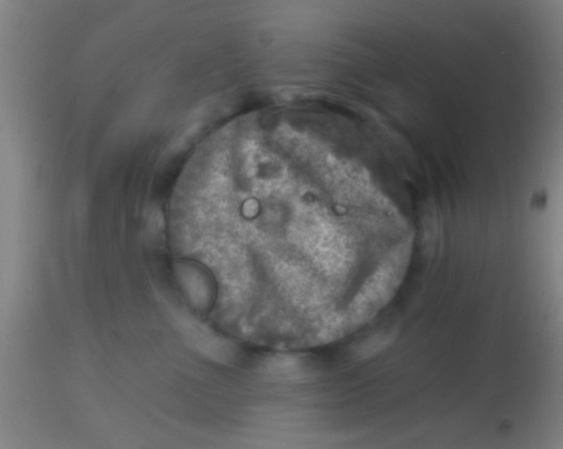 X0000113860523200910151239