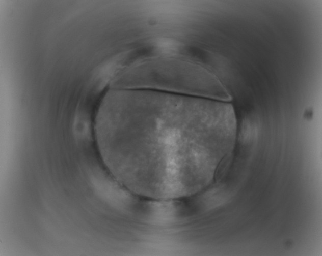 X0000113860524200910151239