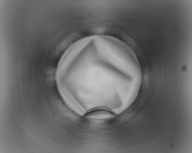 X0000113860525200910151239