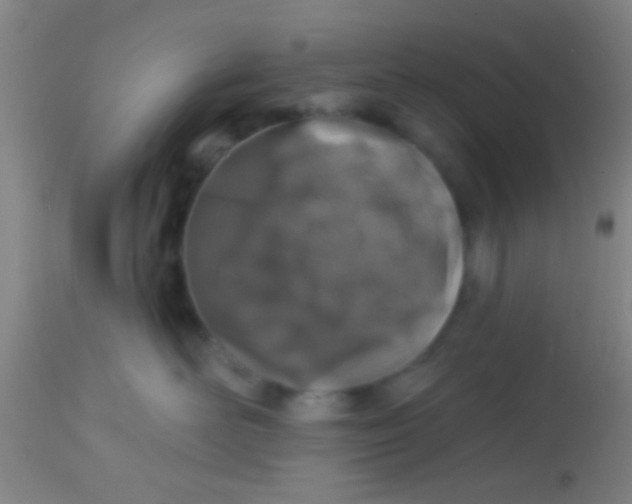 X0000113860526200910151239