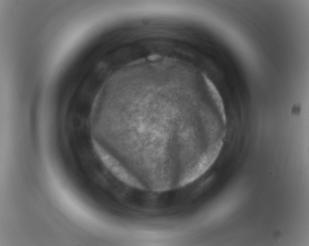 X0000113860527200910151239