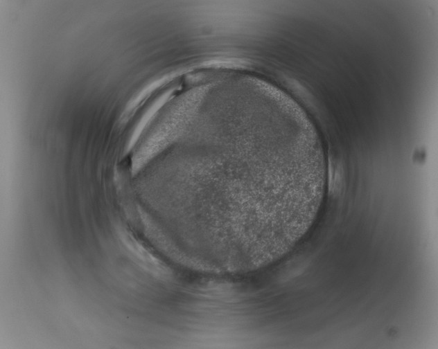 X0000113860531200910151238