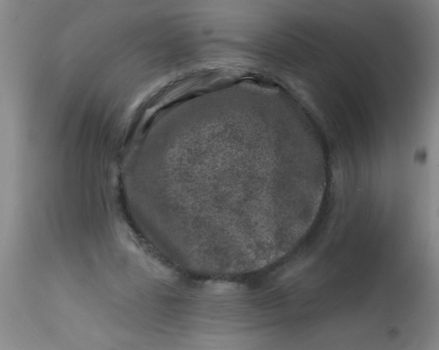 X0000113860539200910151238