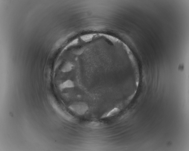X0000113860542200910151238