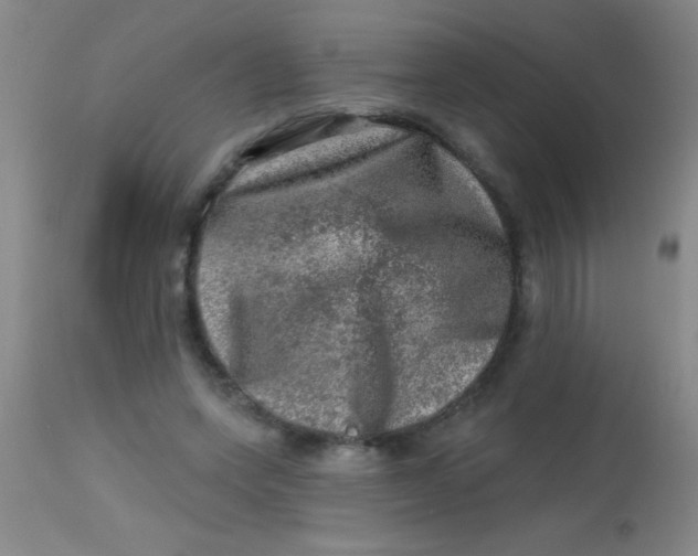 X0000113860543200910151239