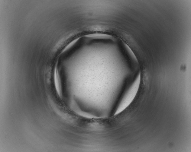 X0000113860544200910151239
