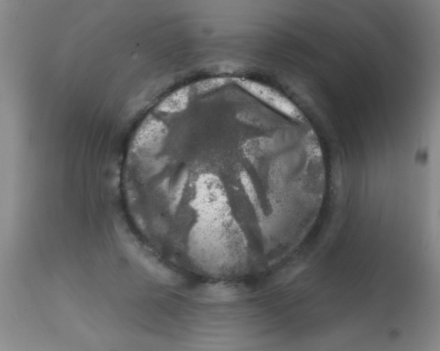 X0000113860545200910151239