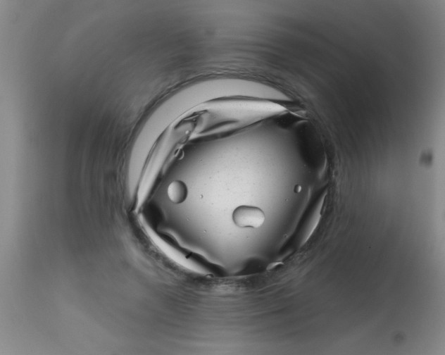 X0000113860546200910151239
