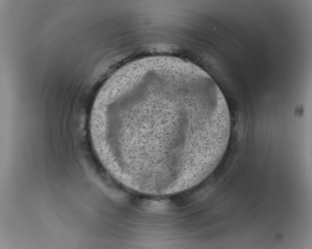 X0000113860548200910151239