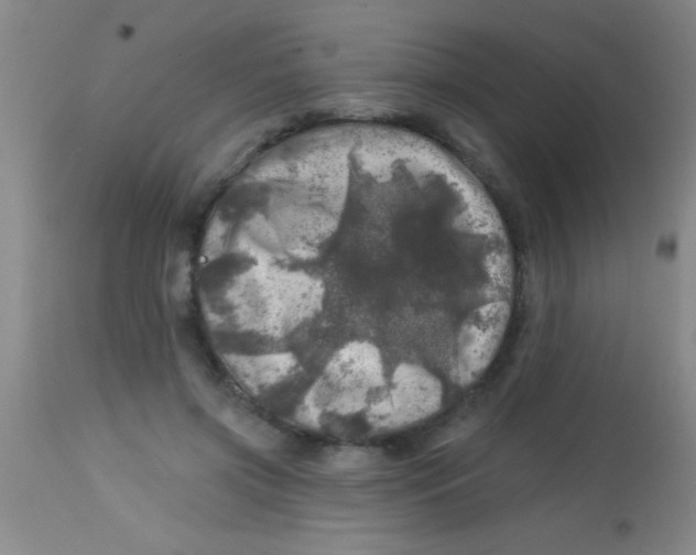 X0000113860549200910151239