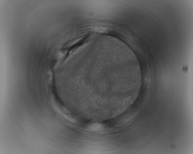 X0000113860551200910151239