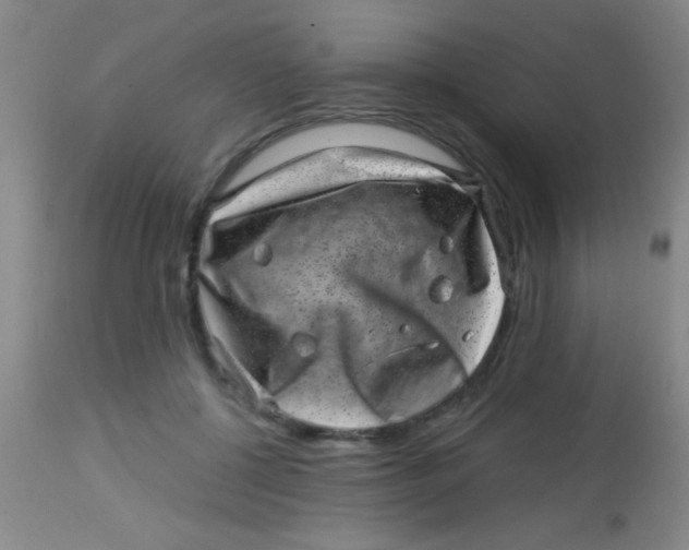X0000113860552200910151239