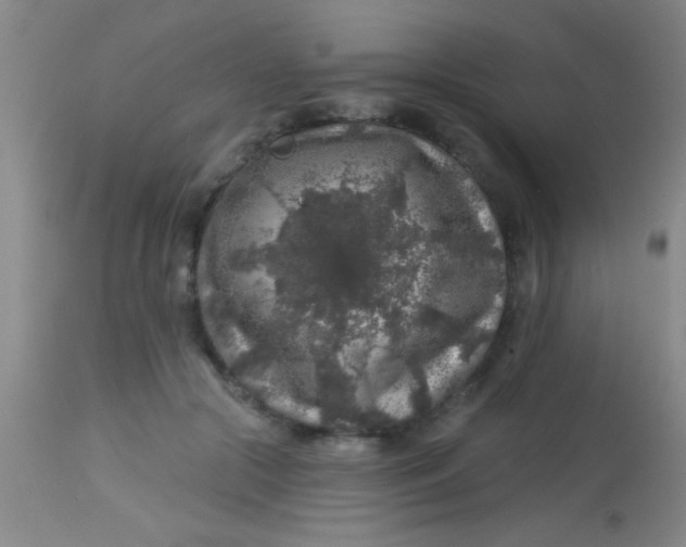 X0000113860553200910151239