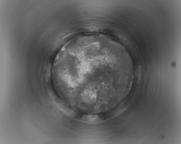 X0000113860554200910151239