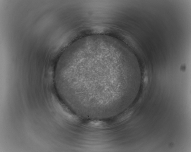 X0000113860557200910151239