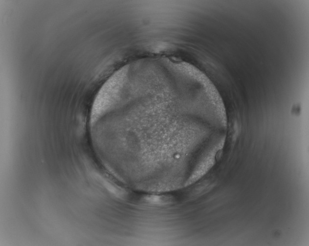 X0000113860558200910151239