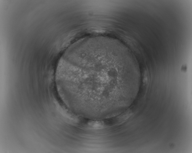 X0000113860559200910151239