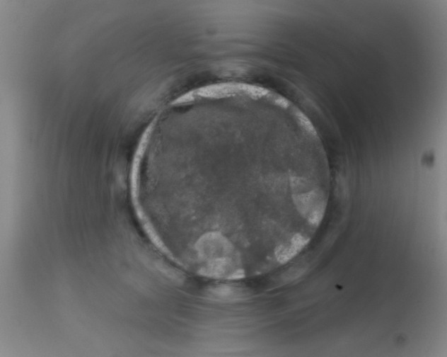 X0000113860561200910151239