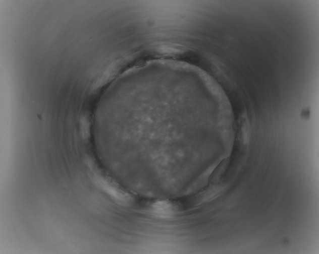 X0000113860562200910151239