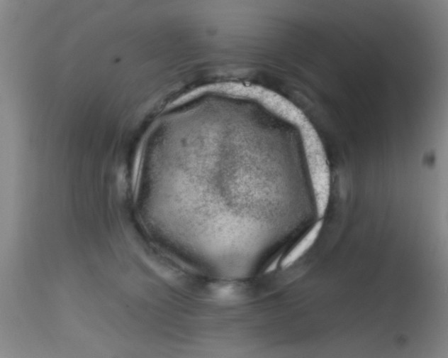 X0000113860564200910151239