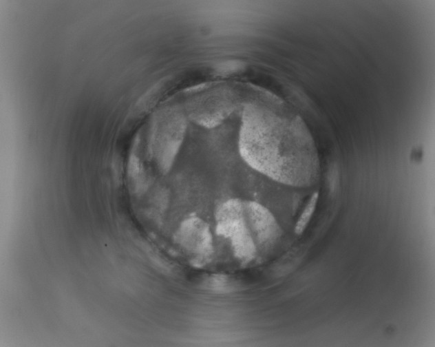 X0000113860565200910151239