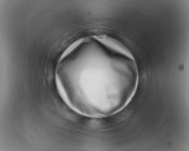 X0000113860566200910151239