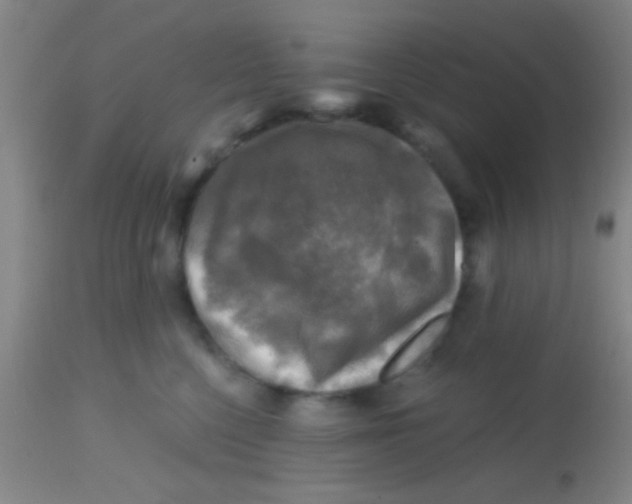 X0000113860568200910151239