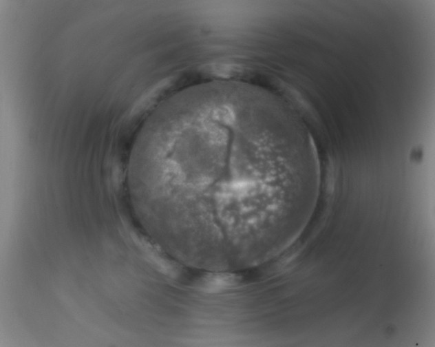 X0000113860569200910151239