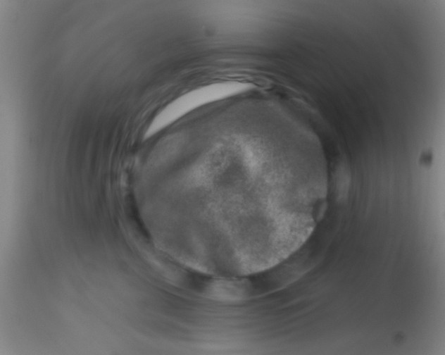 X0000113860571200910151239