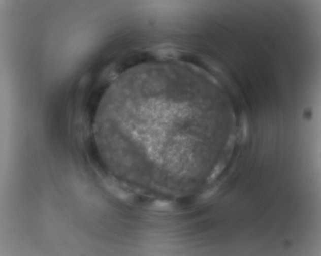 X0000113860573200910151239