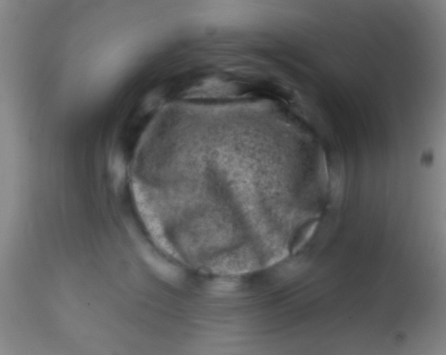 X0000113860574200910151239