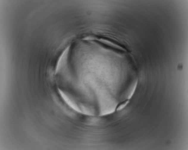 X0000113860575200910151239