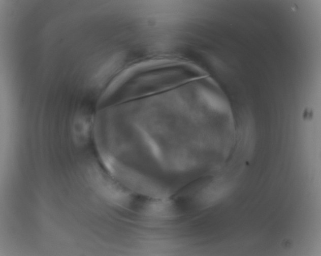 X0000113860576200910151239