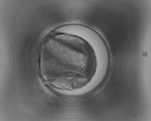 X0000113860577200910151238