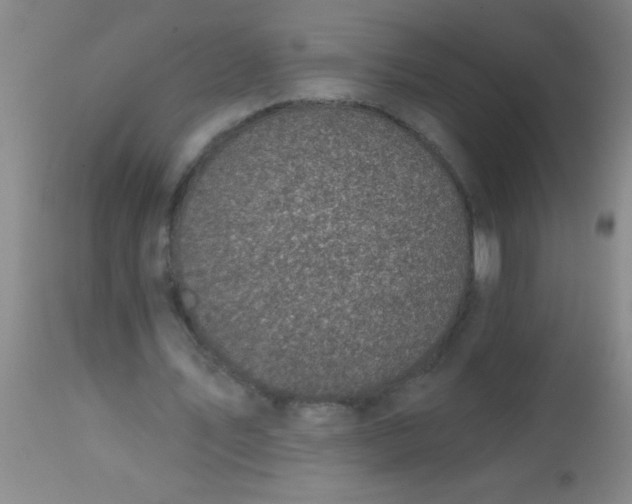 X0000113860579200910151238
