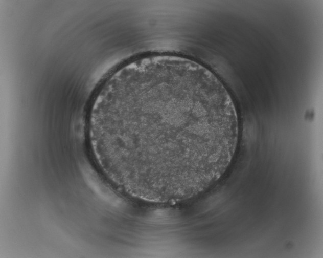 X0000113860584200910151238