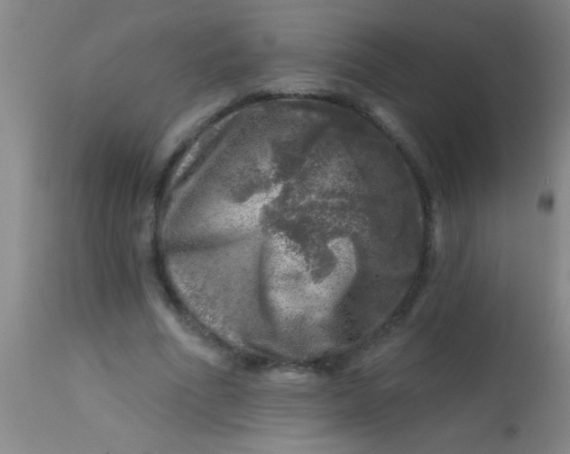 X0000113860586200910151238
