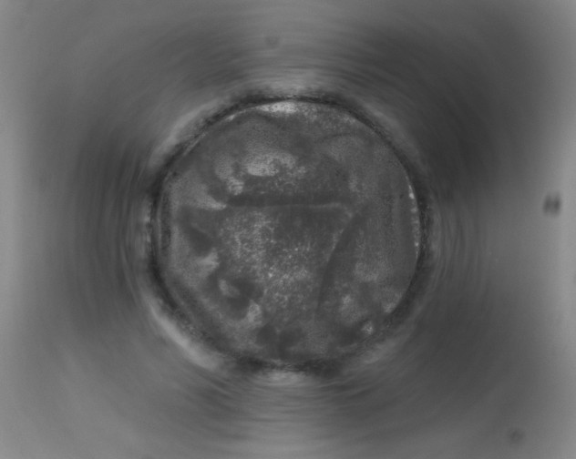 X0000113860590200910151238