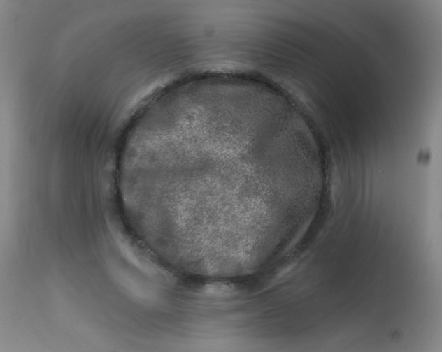 X0000113860591200910151238