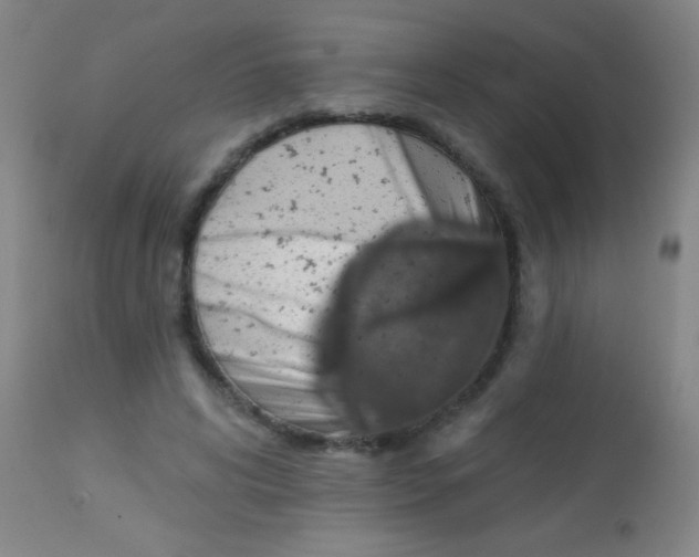 X0000113860592200910151238