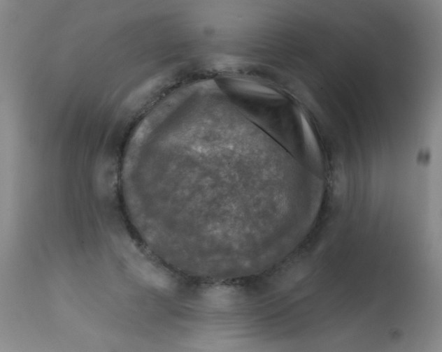 X0000113860593200910151238