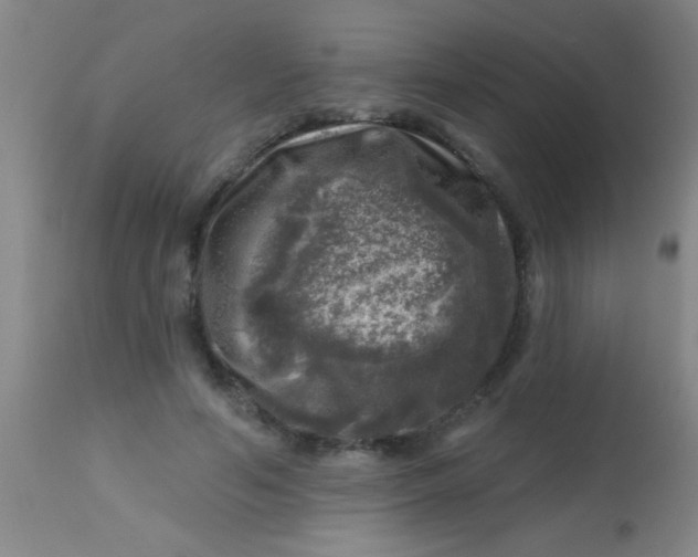 X0000113860594200910151238